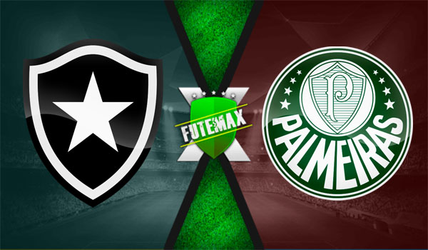 Futemax Botafogo x Palmeiras ao vivo online 17/07/2024