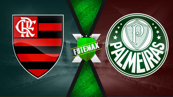 Futemax Flamengo x Palmeiras ao vivo online 11/08/2024