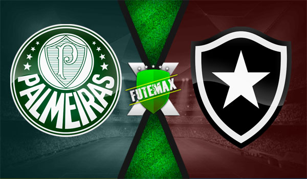 Futemax Palmeiras x Botafogo ao vivo online 21/08/2024