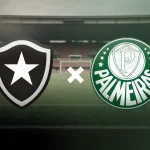 confronto-botafogo-rj-vs-palmeiras-sp-